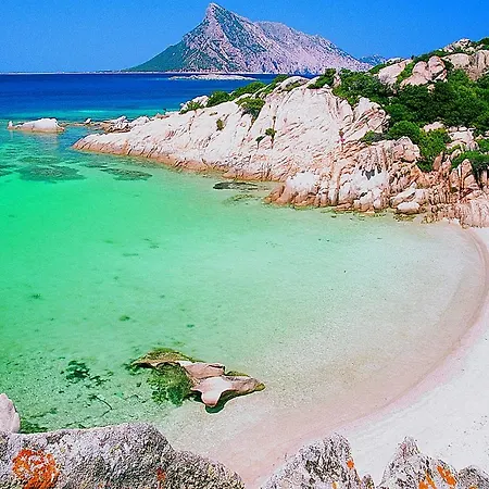 Appartamenti Villa Fiorita A San Teodoro San Teodoro (Sardinia)