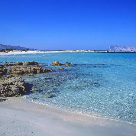 Appartamenti Villa Fiorita A San Teodoro Aparthotel *