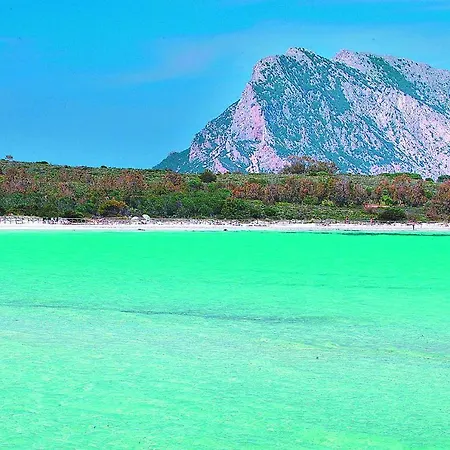 Appartamenti Villa Fiorita A San Teodoro Aparthotel *